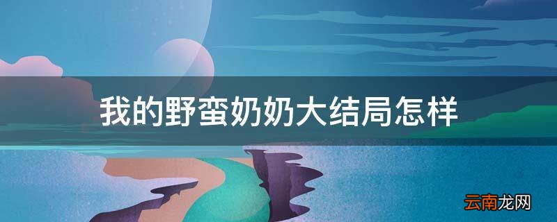 我的野蛮奶奶大结局怎样