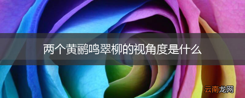 两个黄鹂鸣翠柳的视角度是什么