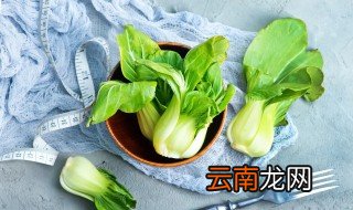 种植白菜要注意哪些事项 白菜的栽种注意事项