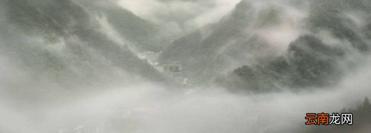 雾到哪里去了，想象一下雾去哪了作文