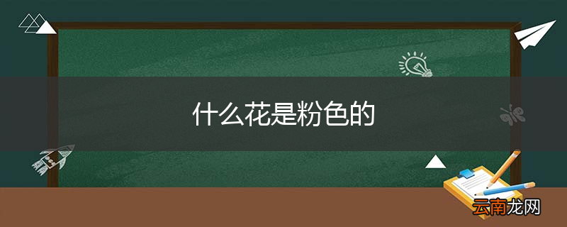 什么花是粉色的