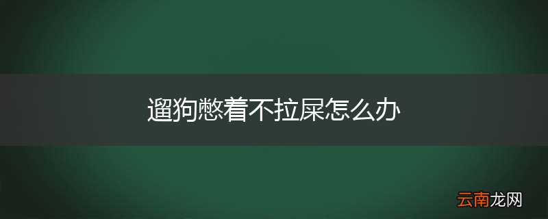 遛狗憋着不拉屎怎么办