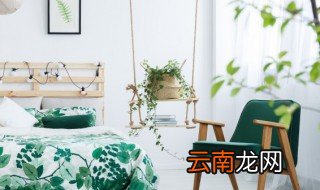 盆栽可以放在卧室里吗 什么盆栽适合放在卧室