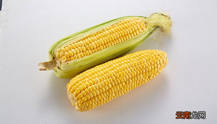 玉米的热量 玉米有哪些功效