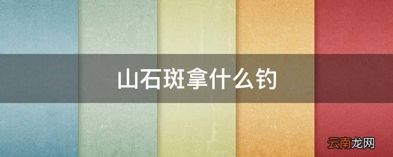 山石斑拿什么钓