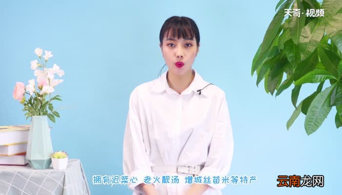 广州旅游攻略 广州两日游自由行攻略