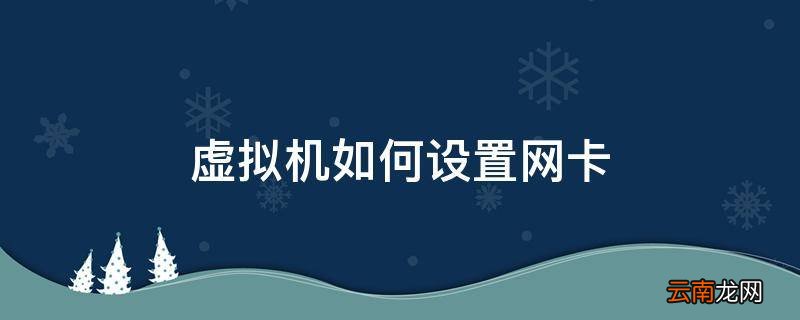 虚拟机如何设置网卡