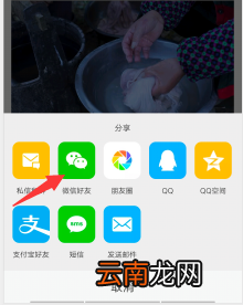 vivo手机微博视频怎么保存到手机 微博视频怎么保存到手机
