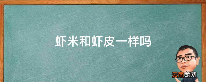 虾米和虾皮一样吗
