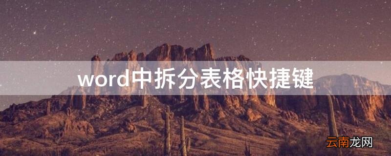 word中拆分表格快捷键 word中拆分表格的快捷键