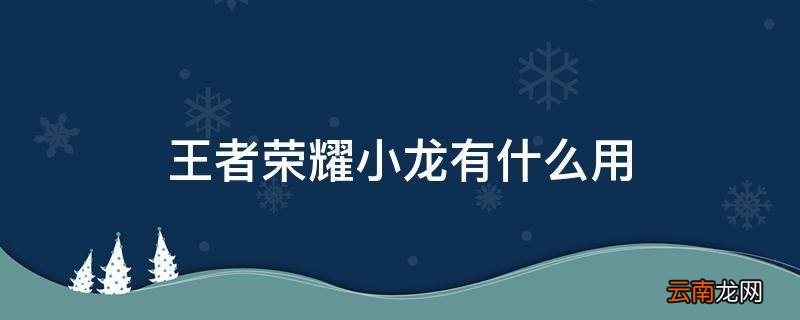 王者荣耀小龙有什么用