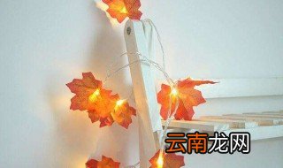 红叶花可以放室内吗 红叶放在卧室可以吗