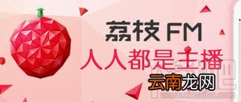 荔枝fm审核直播要多久
