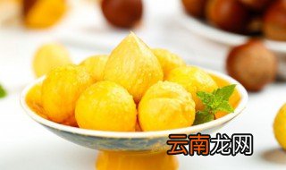 栗子长在哪儿图片 栗子长在哪里