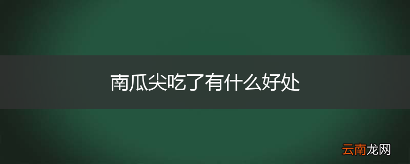 南瓜尖吃了有什么好处