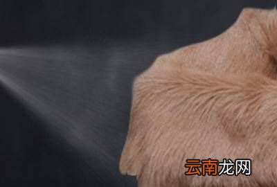羊羔皮毛一体清洗妙招视频，白色皮毛一体的衣服怎么清洗