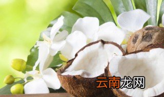 椰子怎样挑选最好吃，椰子如何挑选能好吃