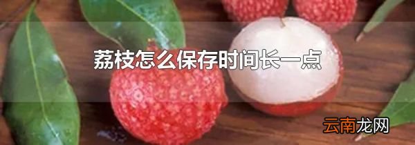 荔枝怎么保存时间长一点