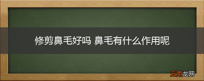 修剪鼻毛好吗 鼻毛有什么作用呢