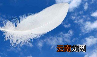 羽毛的最好寓意 羽毛的最好寓意是什么