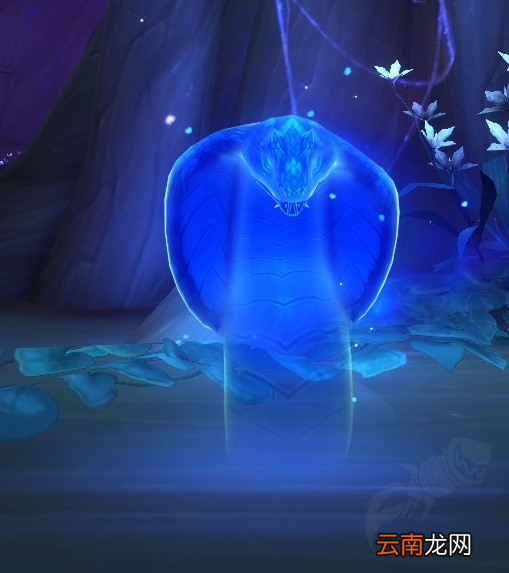 魔兽世界灵魂变形新形态是什么 魔兽世界灵魂变形新形态一览