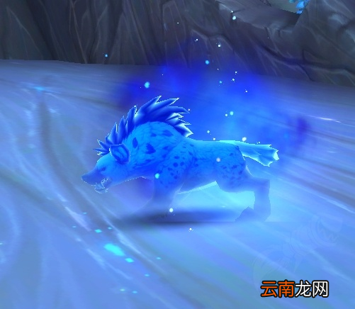 魔兽世界灵魂变形新形态是什么 魔兽世界灵魂变形新形态一览