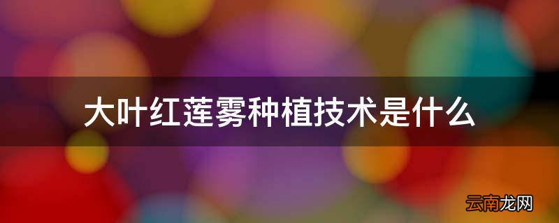大叶红莲雾种植技术是什么