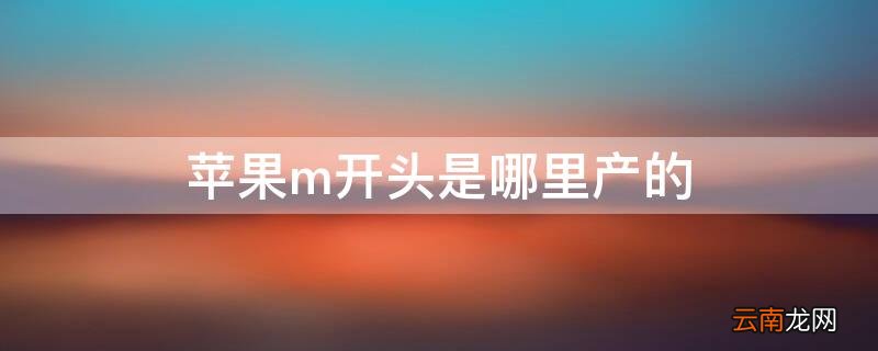 iPhonem开头是哪里产的 iphonem开头的是哪里生产