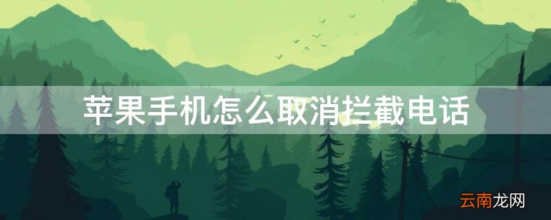 iPhone手机怎么取消拦截电话 苹果手机怎么取消电话拦截