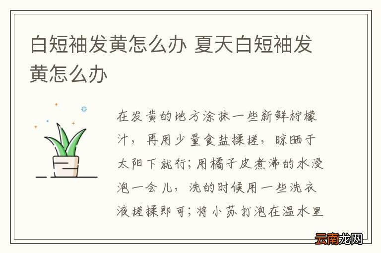 白短袖发黄怎么办 夏天白短袖发黄怎么办