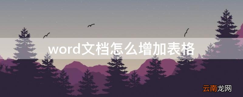 word文档怎么增加表格 Word文档怎么增加表格