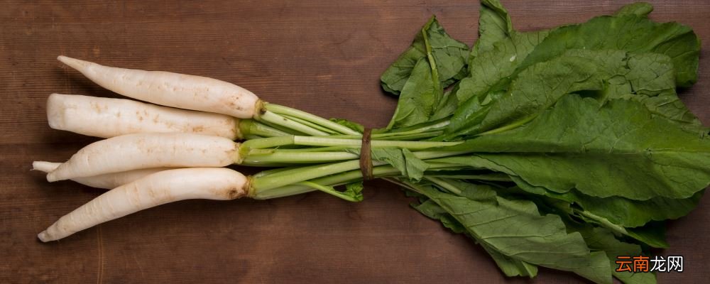 如何治疗秋季感冒 4款食疗能帮你
