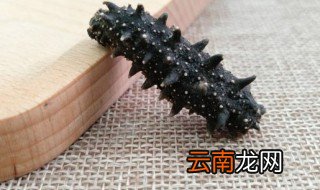 海参是酸性还是碱性食物 海参是酸性还是碱性食物有哪些