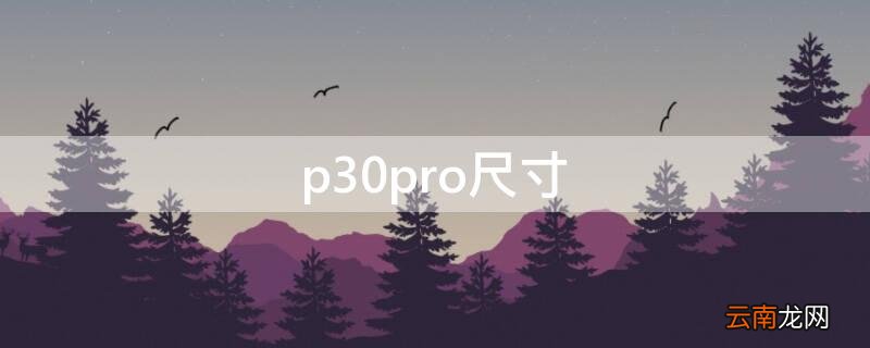 p30pro尺寸 荣耀p30pro尺寸