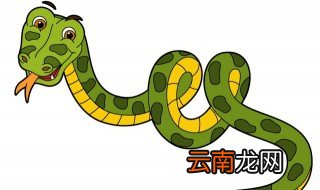看见蛇横着过马路寓意 看见蛇横着过马路有可能寓意要下雨