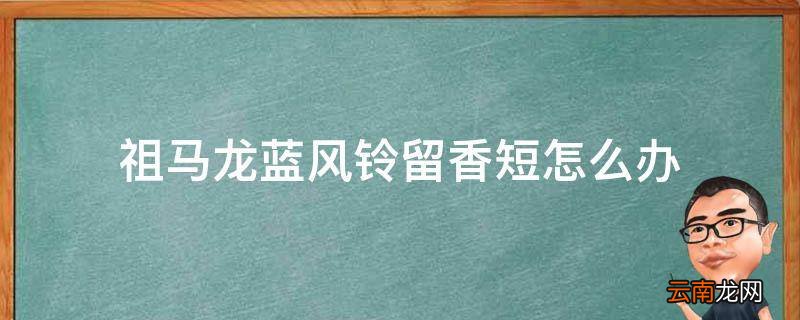 祖马龙蓝风铃留香短怎么办