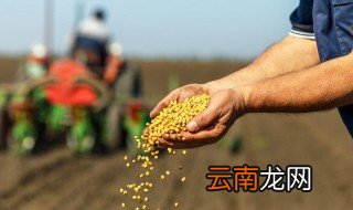 有关种子的知识有哪些 有哪些种子的知识