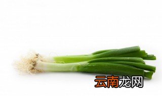 大葱怎么储存不容易坏 如何保存大葱