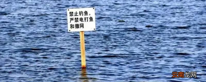 禁鱼期市场能做零售鱼档生意吗