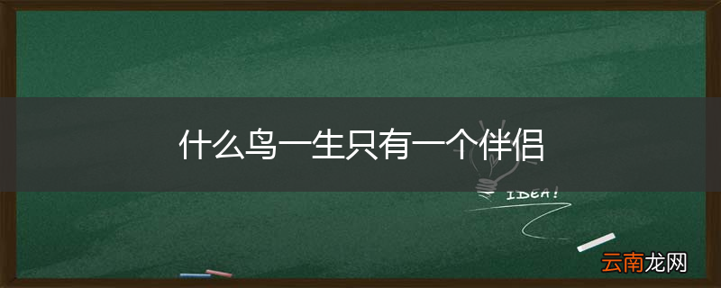 什么鸟一生只有一个伴侣