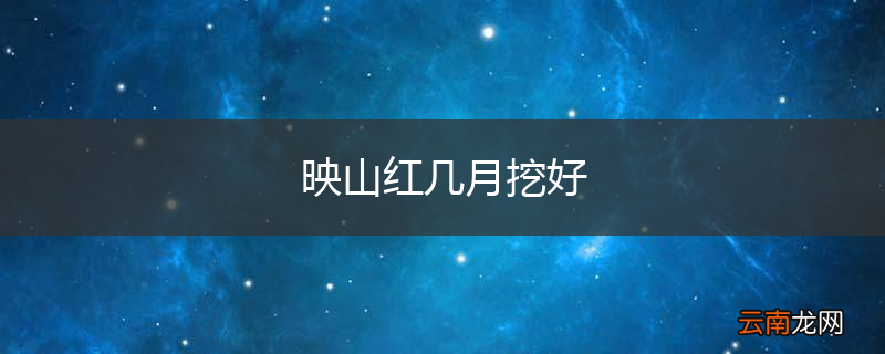 映山红几月挖好