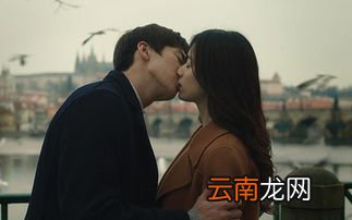 韩国著名电影有哪些,韩国十大顶级经典影片有哪些？