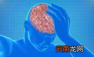 脑梗的3个小时内已溶栓,脑血栓形成的患者早期溶栓是指发病后几小时采用溶栓治疗