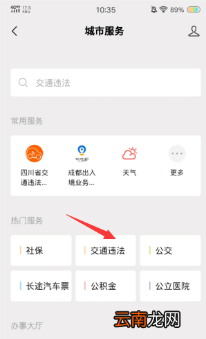 微信如何查驾驶证分 微信怎么查看驾证分