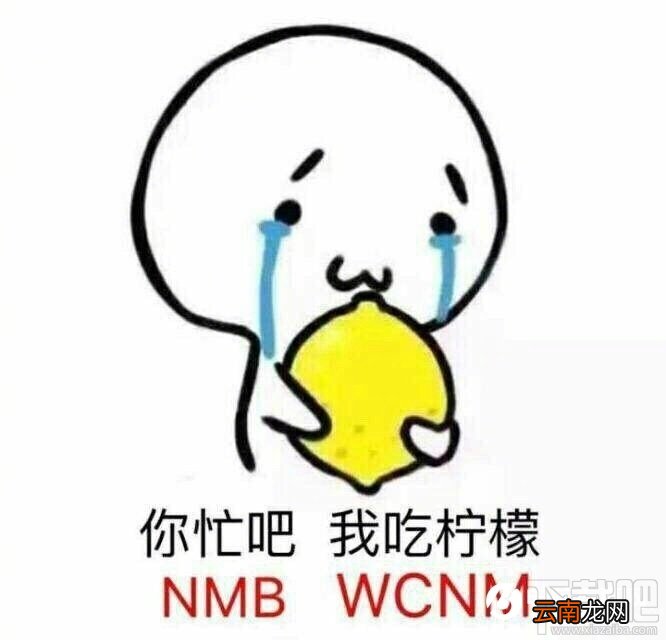 你忙吧我吃柠檬什么梗？你忙吧我吃柠檬什么意思？