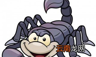 湖南哪里有养蝎子的地方 邵阳如何养好蝎子