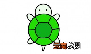 乌龟的寓意 乌龟的寓意是什么