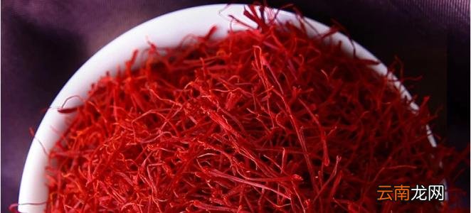 西红花和藏红花的区别是什么