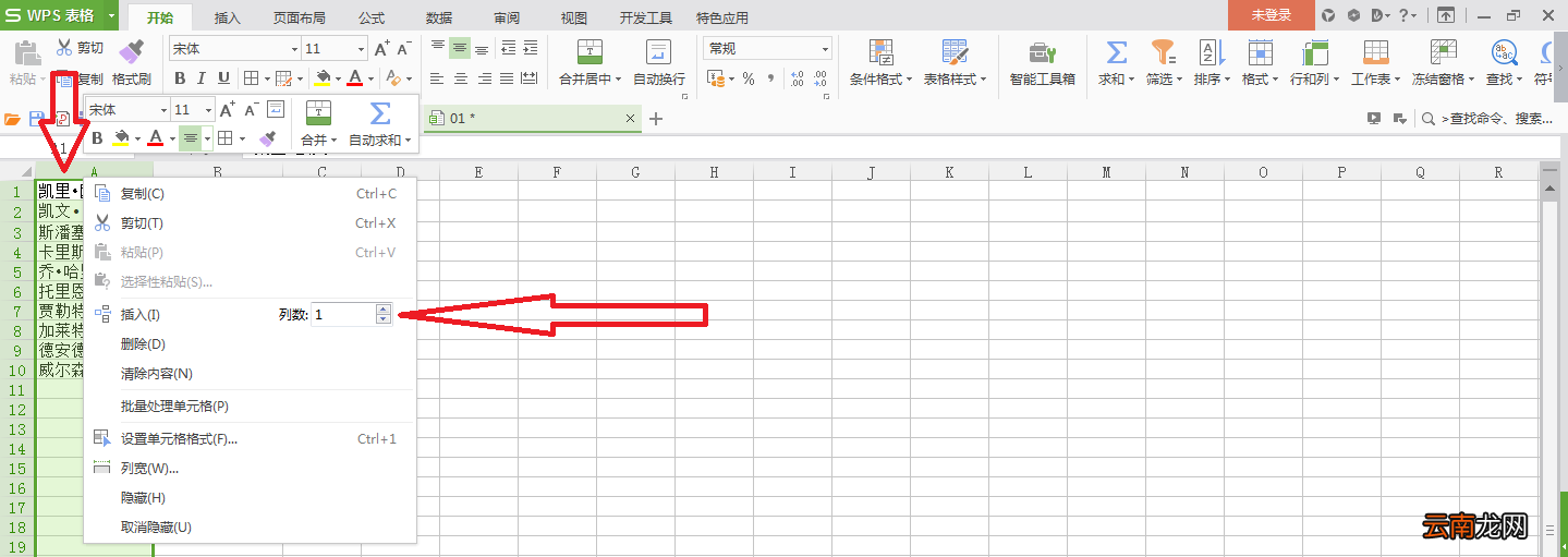 序号怎么自动生成