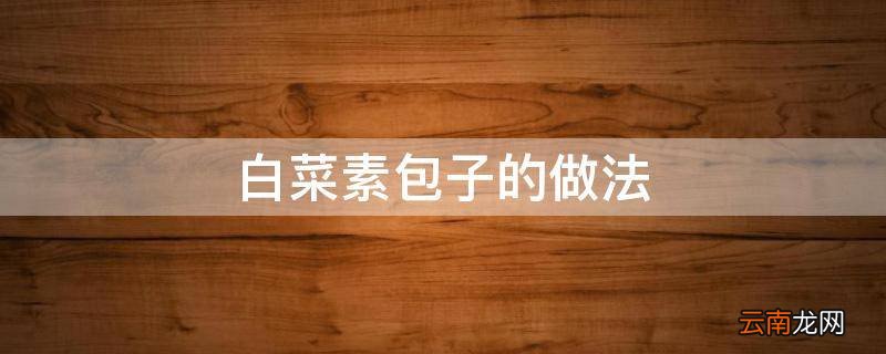 白菜素包子的做法